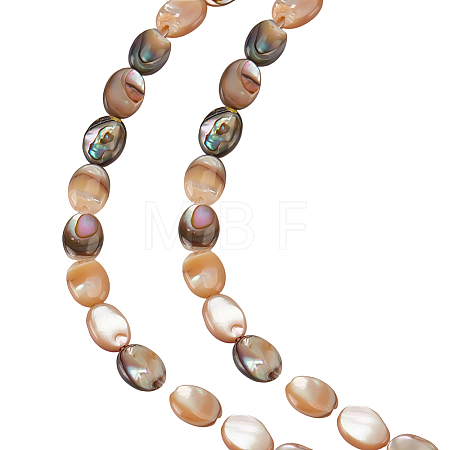 1 Strand Natural Paua Shell Beads Strands BSHE-ME0001-05-1