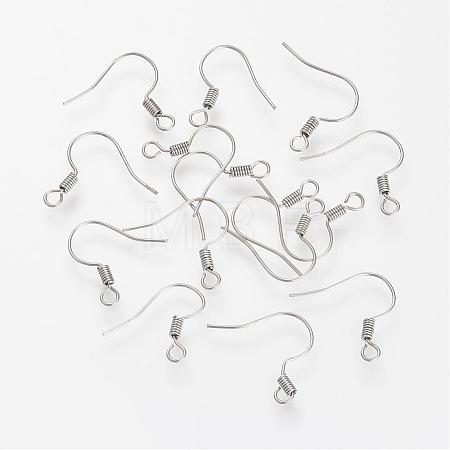 Tarnish Resistant 304 Stainless Steel Earring Hooks STAS-S066-10-1