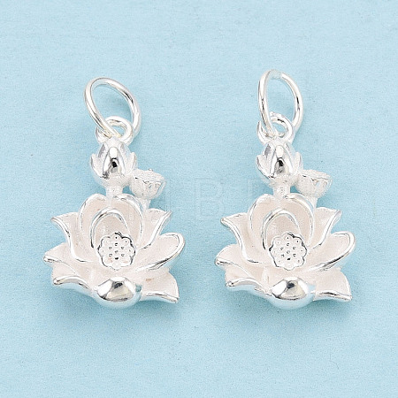 925 Sterling Silver Pendants STER-T009-14S-1