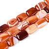 Natural Agate Beads Strands G-N356-03A-16-2