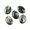 Natural Paua Shell Epoxy Resin Cabochons SSHEL-S279-01B-1