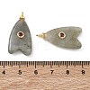 Brass & Natural Labradorite & Cubic Zirconia Pendants GG-CBAD360-20G-04-3