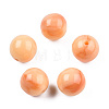 Resin Beads RESI-N034-01-I04-2