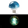 Resin & Epoxy Resin Decor Plate Night Light DJEW-K030-01-2