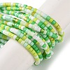 Handmade Czech Lampwork Beads Strands LAMP-L078-008-2