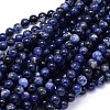Round Natural Sodalite Beads Strands LS-G-F222-39-6mm-1
