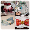 2 Rolls Polyester Mesh Ribbons SRIB-TA0003-42B-8