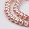 Natural Cultured Freshwater Pearl Beads Strands PEAR-D187-51-01-3