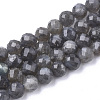 Natural Labradorite Beads Strands G-S345-10mm-005-1