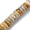 Natural Crazy Lace Agate Beads Strands G-F743-06J-1