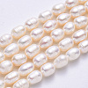Natural Cultured Freshwater Pearl Beads Strands PEAR-F007-70-2
