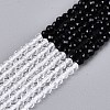 Transparent Glass Beads Strands GLAA-N074-01A-02-2