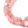 Natural Freshwater Shell Beads Strands SHEL-A006-07-3