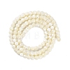 Shell Beads Strands SSHEL-E571-38-4mm-2