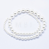 Electroplate Shell Pearl Beads Strands BSHE-G007-A-09-2