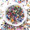 Glass Seed Beads SEED-XCP0001-41-2