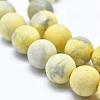 Natural Howlite Bead Strands G-I224-04B-8mm-3