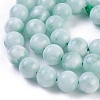 Natural Glass Beads Strands G-I247-15C-3