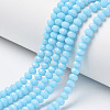 Opaque Solid Color Glass Beads Strands EGLA-A034-P2mm-D08-1