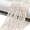 Natural Rainbow Moonstone Beads Strands G-G161-A01-03-2