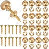2 Bags Carbon Steel Screw FIND-GF0009-32A-1