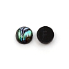 Paua Shell Cabochons SHEL-WH0001-002A-2