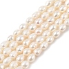 Natural Cultured Freshwater Pearl Beads Strands PEAR-I007-01B-04B-2