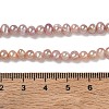 Natural Cultured Freshwater Pearl Beads Strands PA-CBAC463-28-3