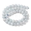 Natural Aquamarine Beads Strands G-R446-8mm-04-02-4