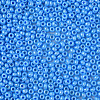 8/0 Czech Opaque Glass Seed Beads SEED-N004-003A-17-4