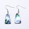 Abalone Shell/Paua ShellTrapezoid Dangle Earrings EJEW-E145-03-1