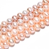 Natural Cultured Freshwater Pearl Beads Strands PEAR-N013-06-A-01-2