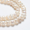 Natural Cultured Freshwater Pearl Beads Strands PEAR-L001-F-08-3