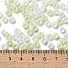 Glass Seed Beads SEED-L011-03A-17-4