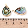 Natural Paua Shell Pendants SHEL-P017-14G-3