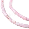 Natural Freshwater Shell Dyed Beads Strands SHEL-M018-12-09-3