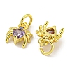 Rack Plating Brass Micro Pave Cubic Zirconia Spider Charms ZIRC-I065-02G-2