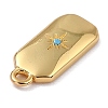 Brass Micro Pave Cubic Zirconia Charms ZIRC-I054-12G-3