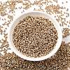 Electroplate 12/0 Glass Seed Beads X-SEED-Q003-01-1