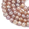 Natural Cultured Freshwater Pearl Beads Strands PEAR-L034-09D-4