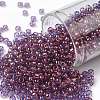 TOHO Round Seed Beads X-SEED-TR08-0202-1