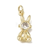 Brass Micro Pave Clear Cubic Zirconia Pendants CU-L001-18G-02-1