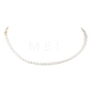 Natural Cultured Freshwater Pearl Rice Beaded Necklaces NJEW-JN05688-2