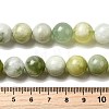 Natural New Jade Beads Strands G-K340-A01-12mm-5