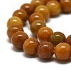 Natural Jade Beads Strands G-D030-01B-3