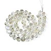 Electroplate Glass Beads Strands EGLA-T021-21E-2
