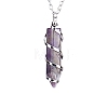 Natural Amethyst Hexagon Prism Pendant Necklace with Platinum Alloy Chains PW-WG80696-01-1