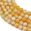 Handmade Lampwork Beads Strand LAMP-B056-8mm-09-4