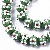 Handmade Lampwork Beads Strands LAMP-N021-001D-3