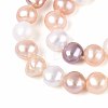 Natural Cultured Freshwater Pearl Beads Strands PEAR-N014-05M-02-4